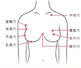 胸部穴道